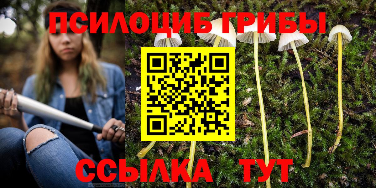 Псилоцибиновые грибы Magic Shrooms  Вход с VPN  Галлюциногенные грибы Psilocybe  Зима 